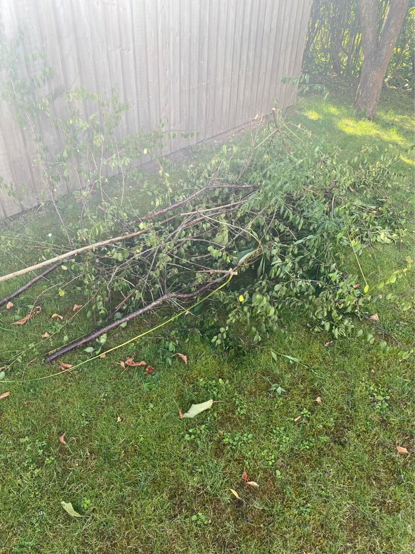 Kørt en masse haveaffald på genbrug