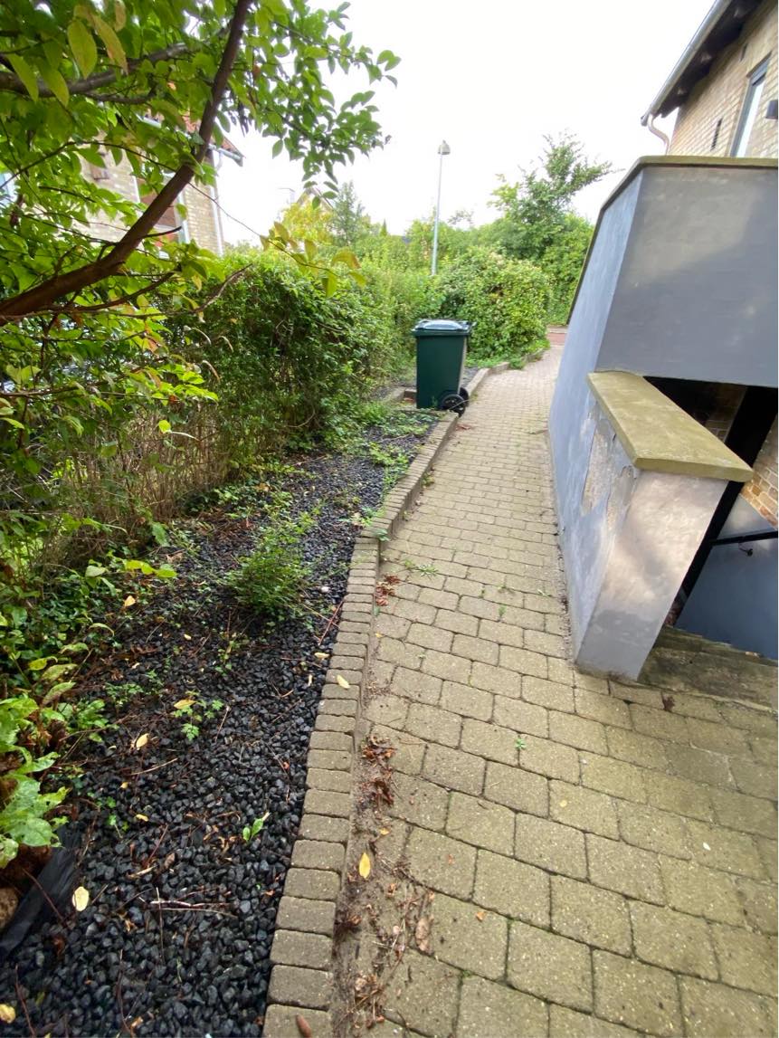 Klippe græs og fjørne ukrudt