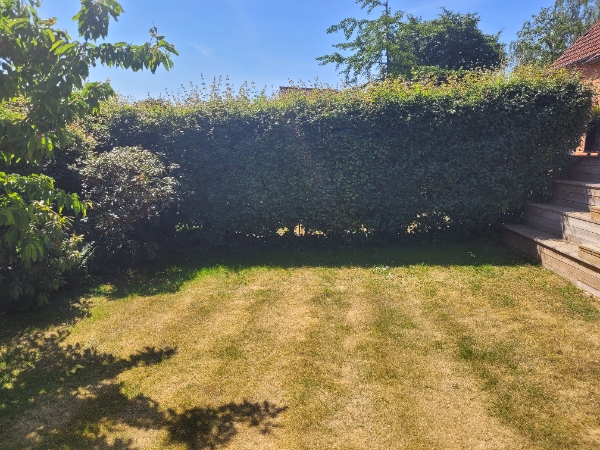 Hækklipning 19m, side og top