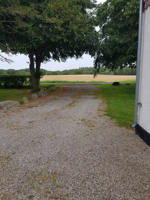 Fjerne ukrudt fra gårdsplads