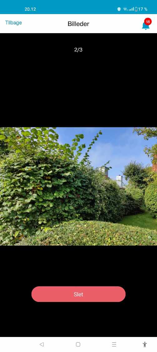 Fjernelse af blandet hæk, samt de træer der er i hækken, alt skal væk inklusiv rødder.