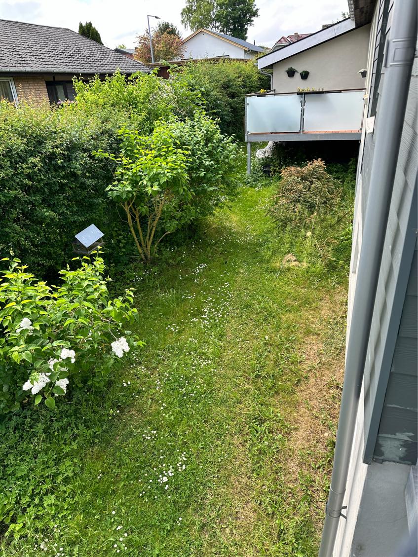 Hækklipning og kantskæring