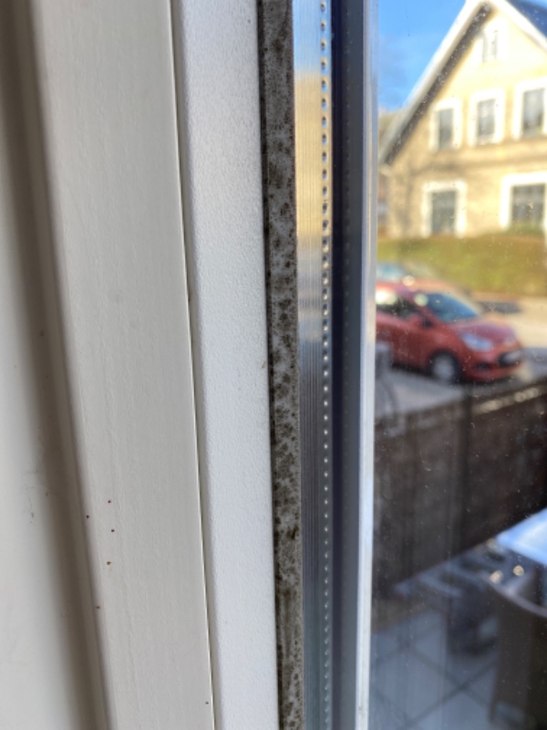 Hovedrengøring af lejlighed