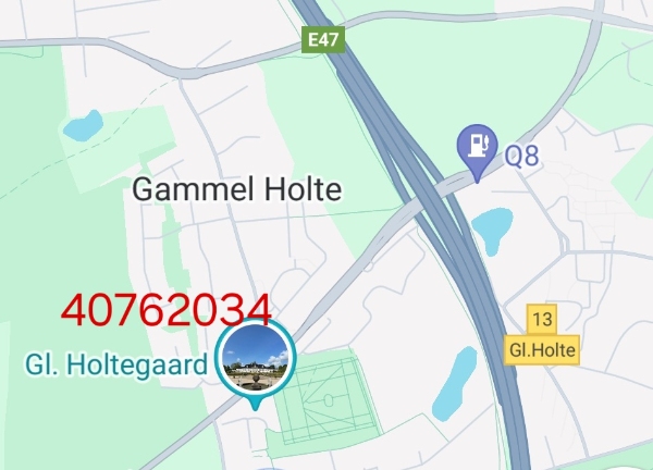 Lægning af fliser i indkørsel