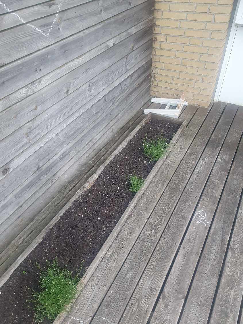 Rens og oliering af træterasse