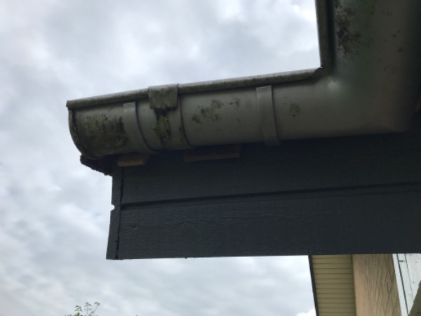 lav et hul i en tagrende og installer et rør fra tagrenden til jorden