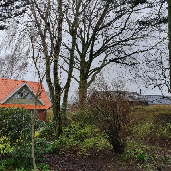 topkapning og styning