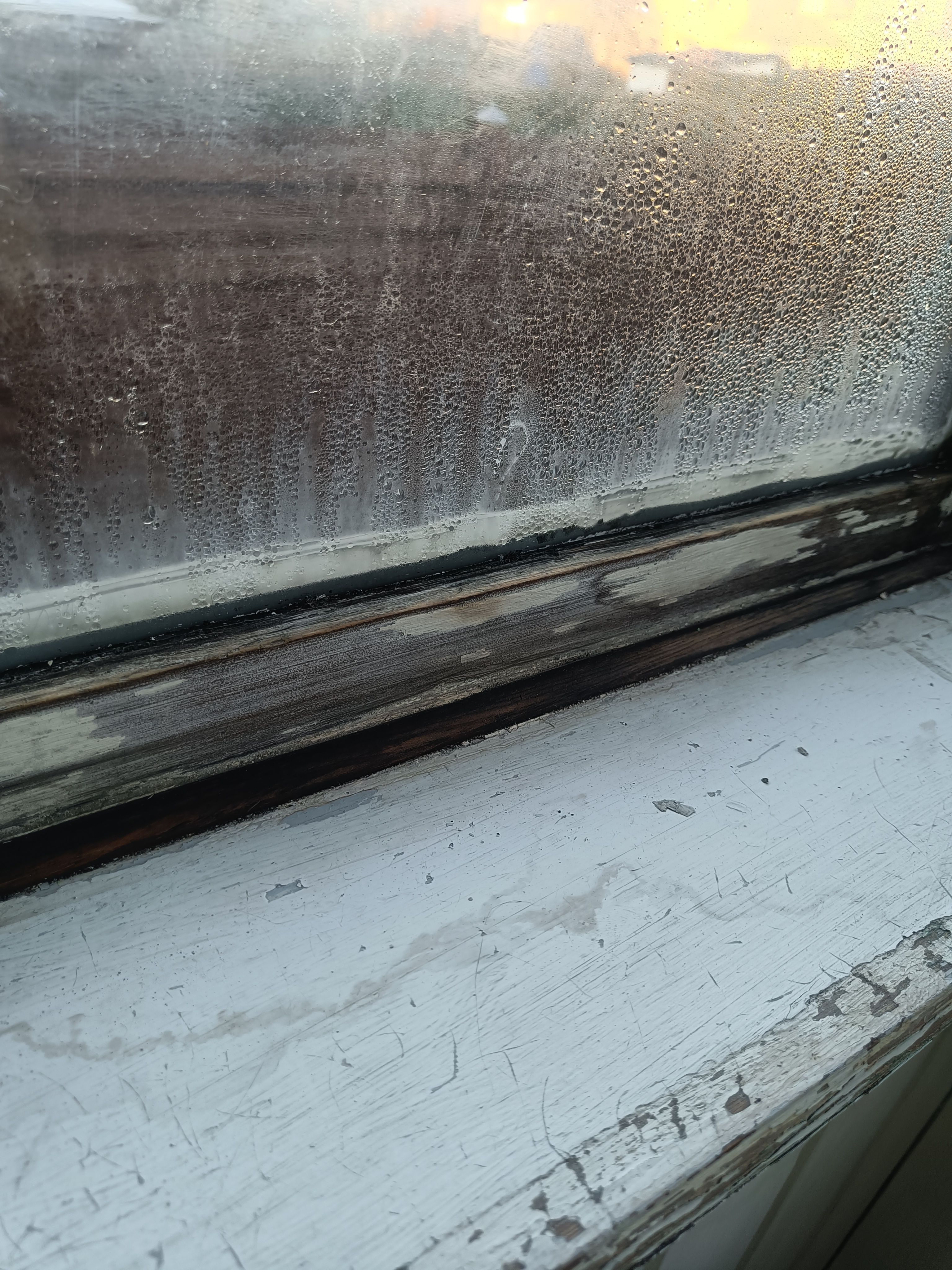 Skift af vindueskarme og 2 vinduer