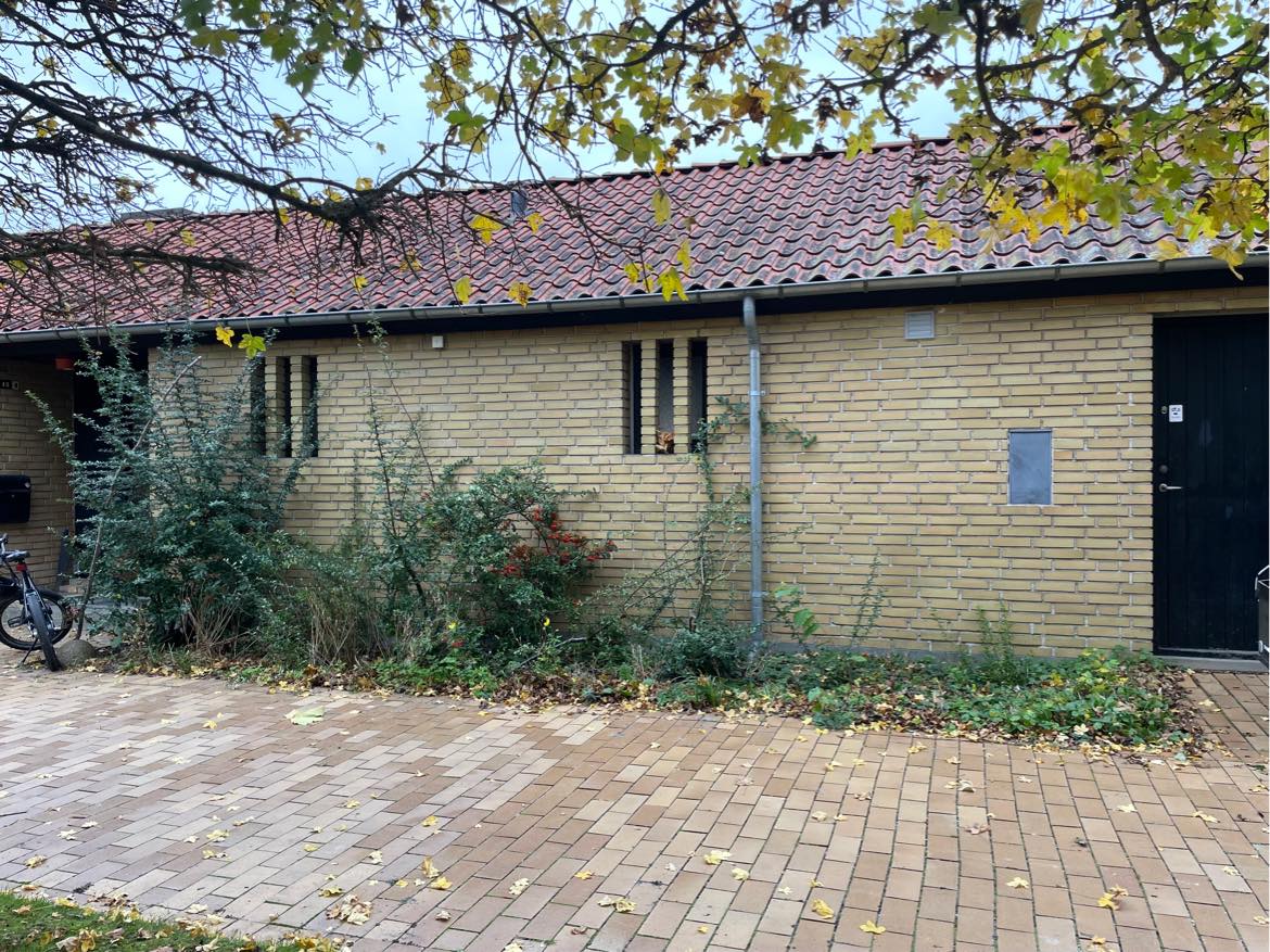 Fjerne planter og rødder