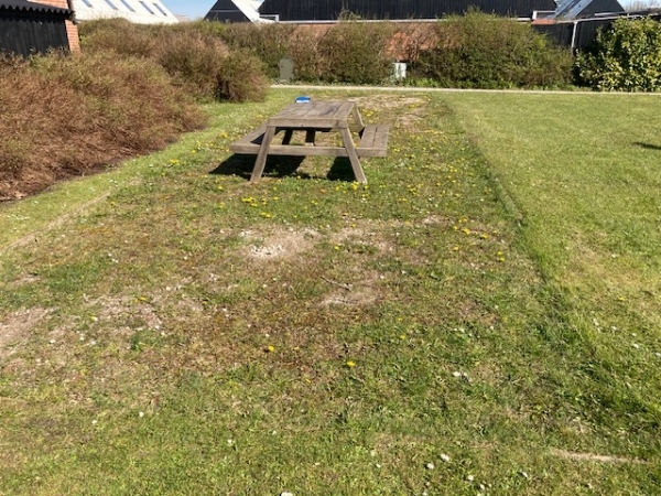 Renovering af petanquebane