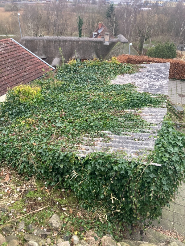 Nedtagning af tagplader