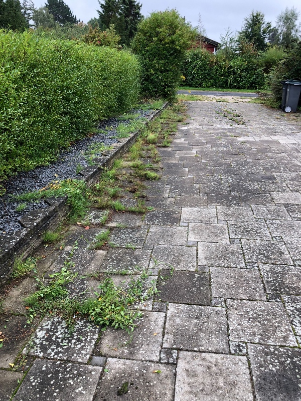 Fjerne ukrudt rundt om sommerhus