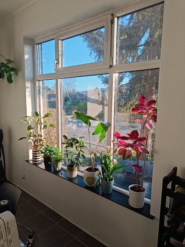 Vinduespudsning inde og ude