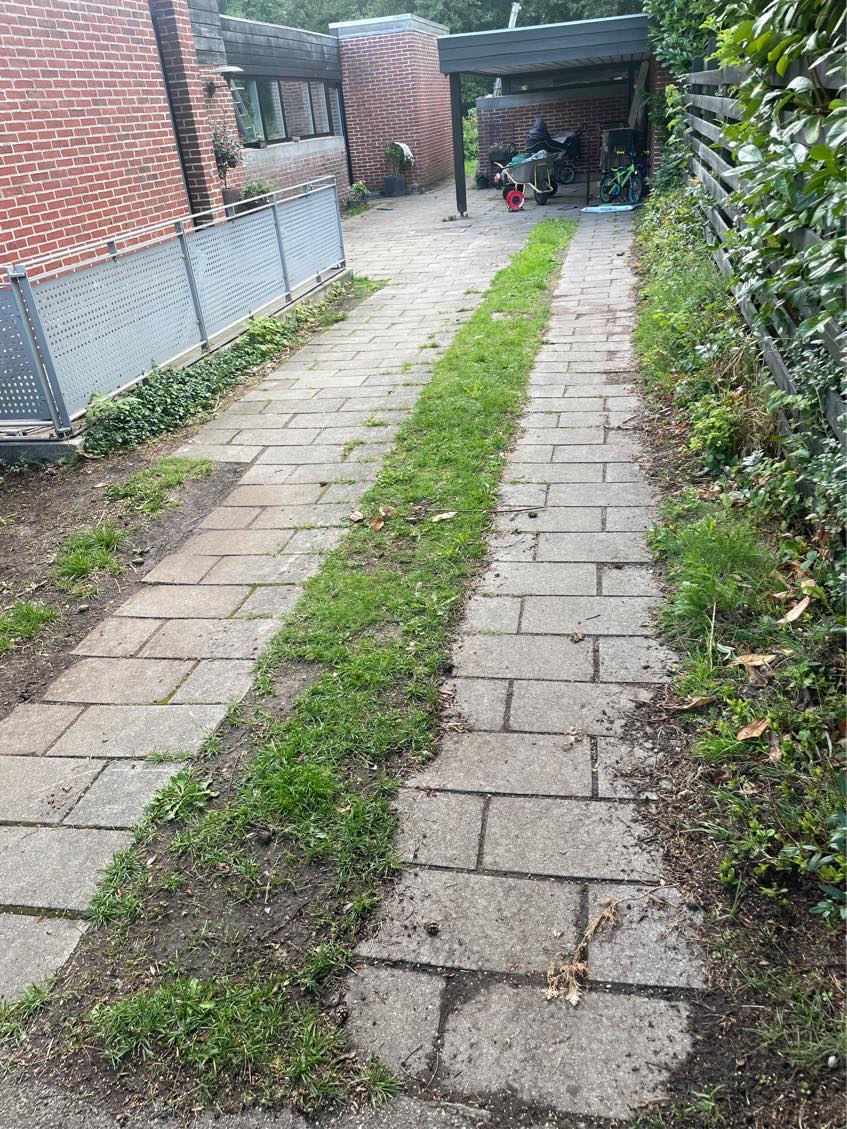 Opfriskning af indkørsel - bede, fliser med nyt fugesand mm.