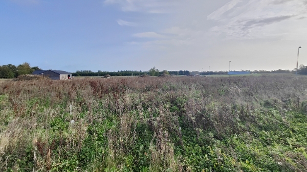 Ukrudt klippes ned da grunden skal sælges. Den er på 850 kvm2 og det står i 30-100 cm