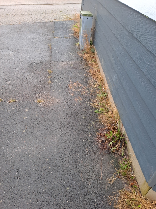 Ukrudt fjernelse og hæk klipning