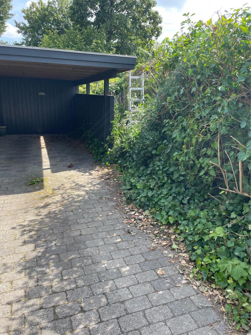 Haveaffald til genbrugspladsen