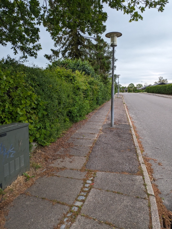 Beskæring og bortskaffelse af hæk