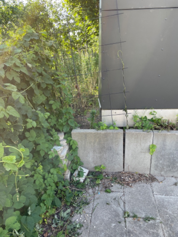 Bygge støttemur i have