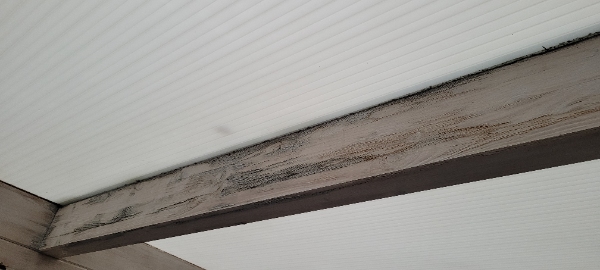 Tætning af udestue tag