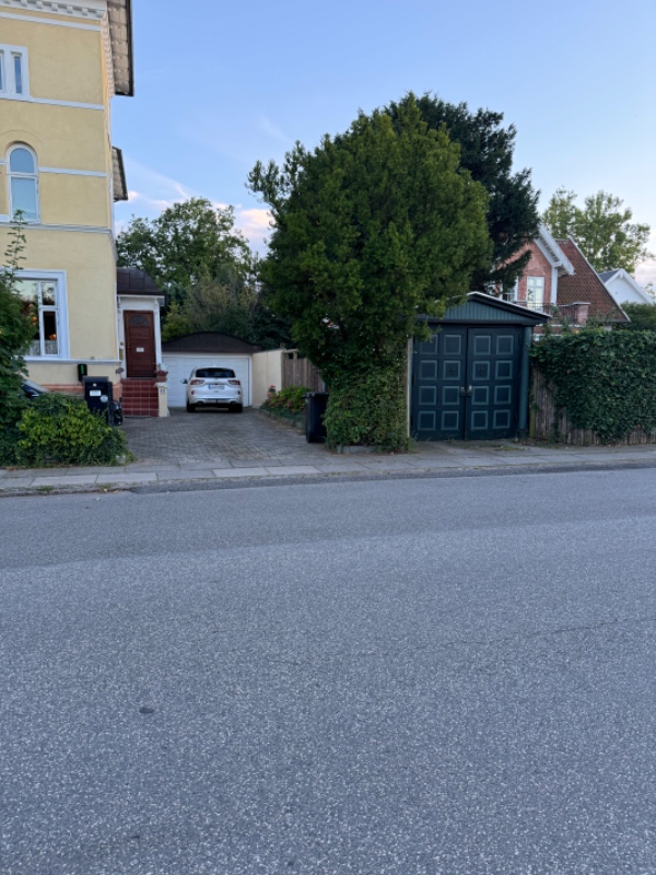 Nedskæring af buske samt tuja ca 5 m.