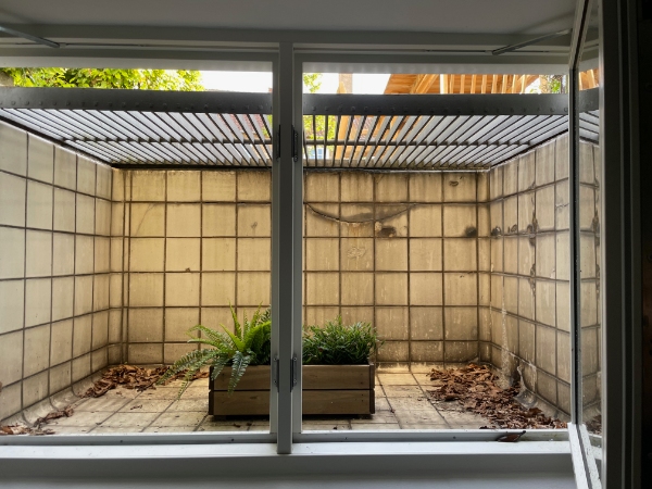 Pudsning af lyskasser