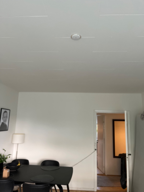 Jeg skal have sat en lampe op over mit spise bird