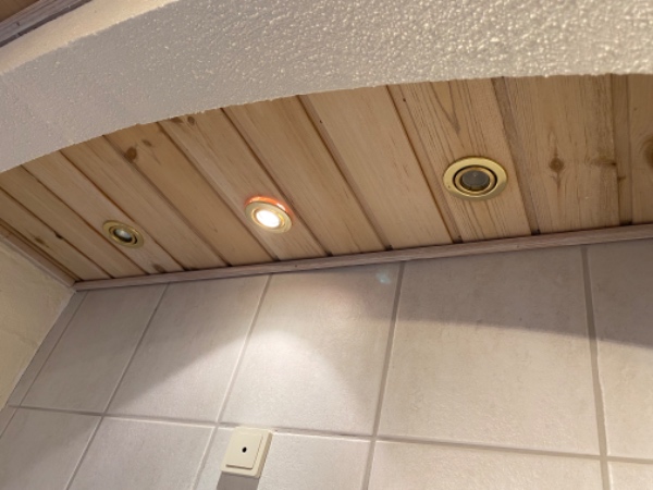 Udskiftning af pærer i loftspots