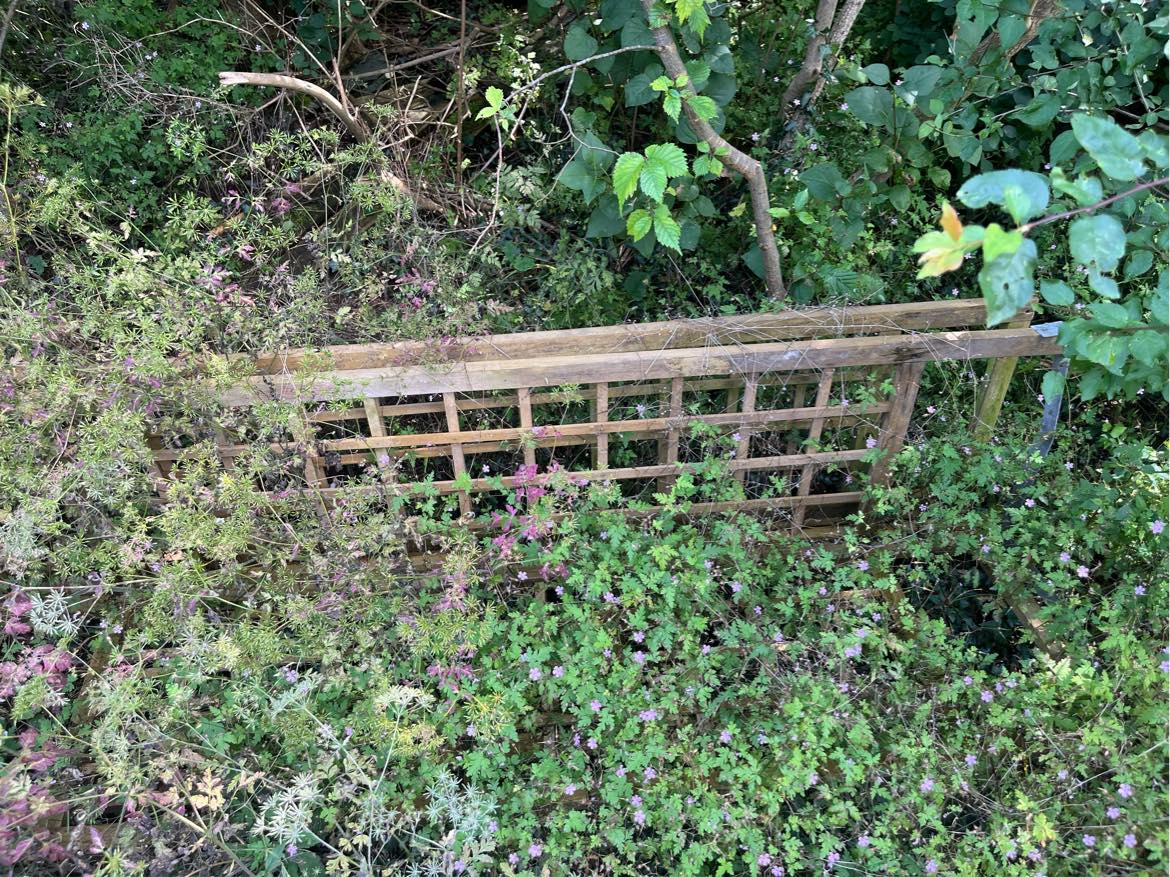 Rydde skrald på genbrugspladsen