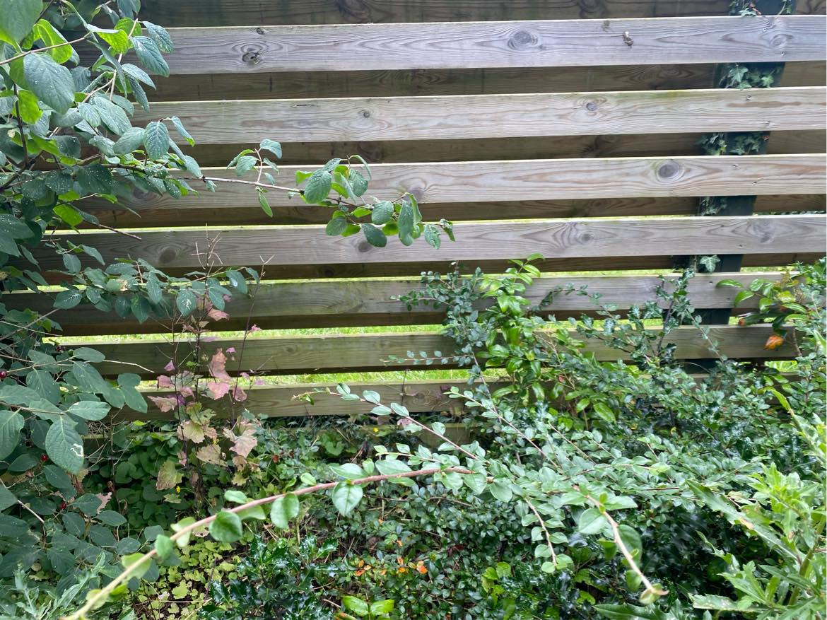 Havearbejde. Mest ukrudt