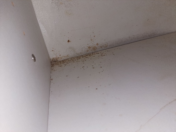 Sanering i bryggers og nedtagning af køkkenelementer