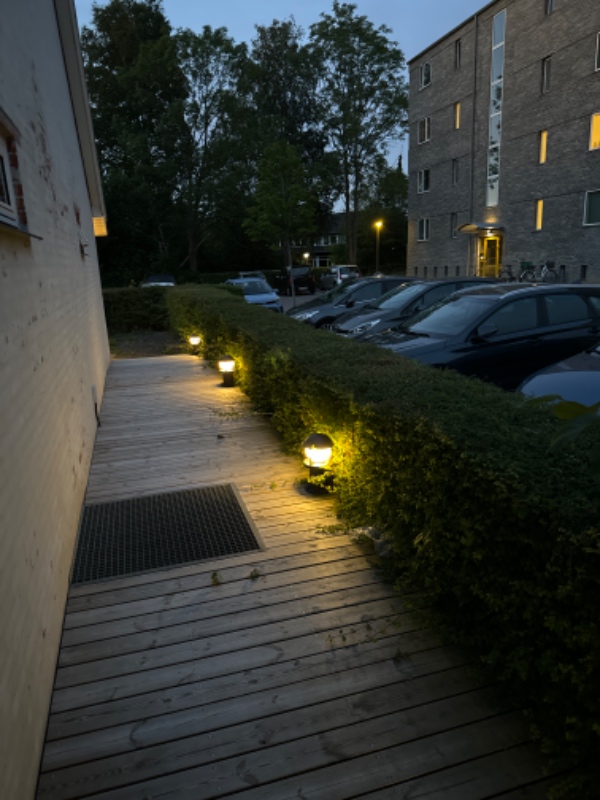 Havearbejde: hækkeklip og ukrudtsfjerning