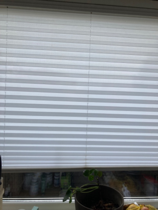 Rullegardin pilles ned og nyt sættes op