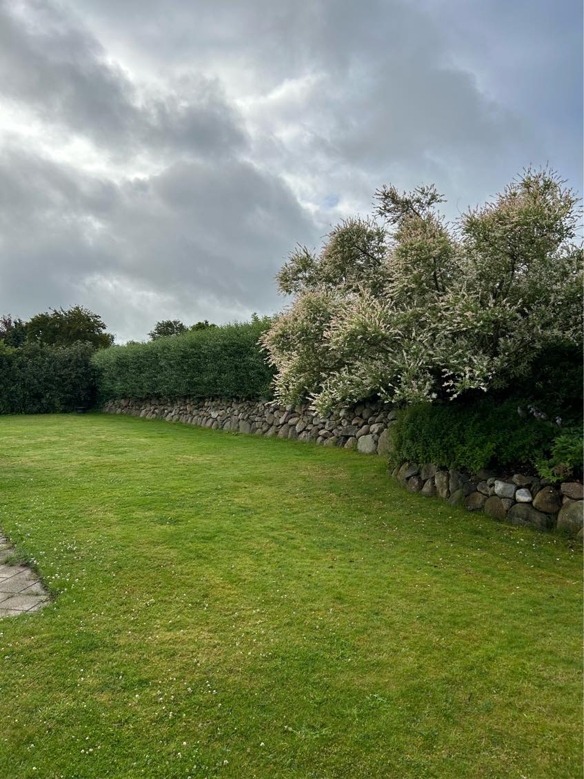 Hækklipning og bortskaffelse