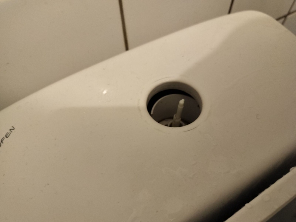 Toilet reparation og sædeudskiftning