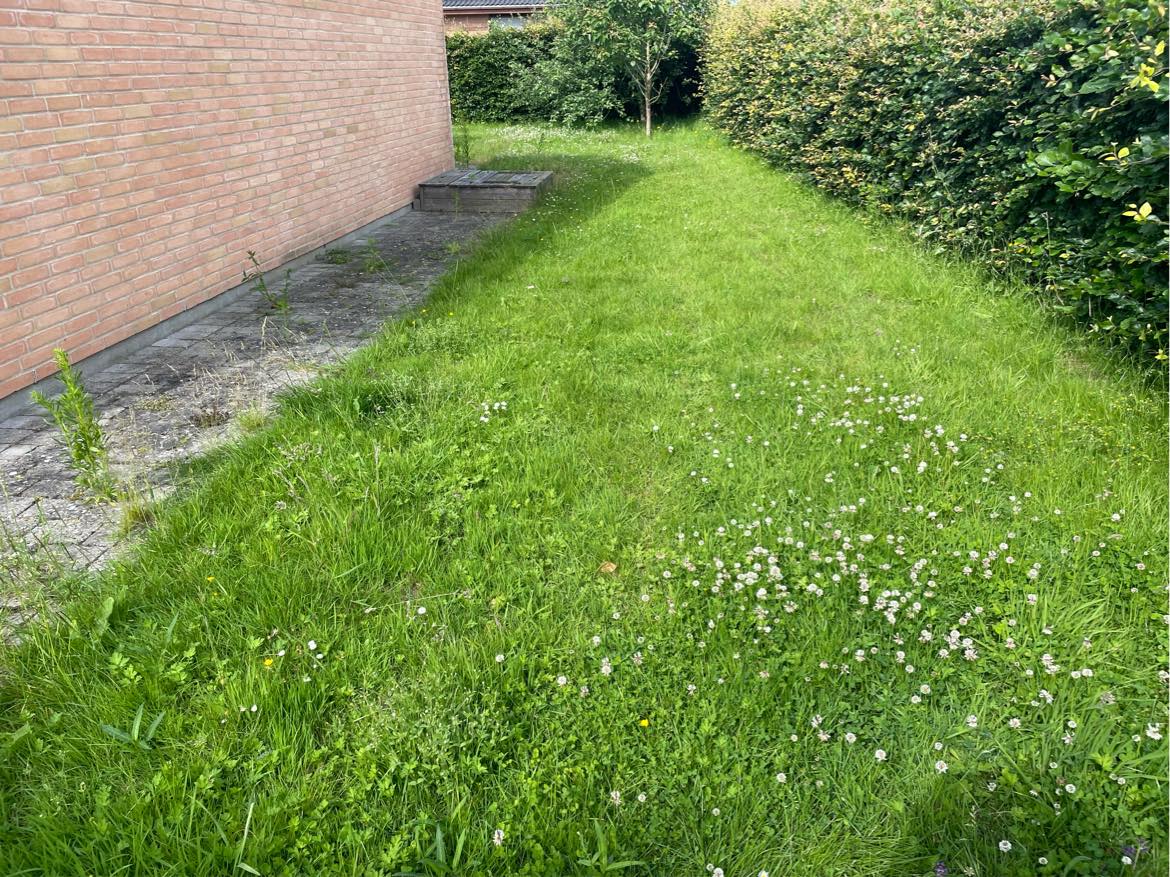 Slå græs