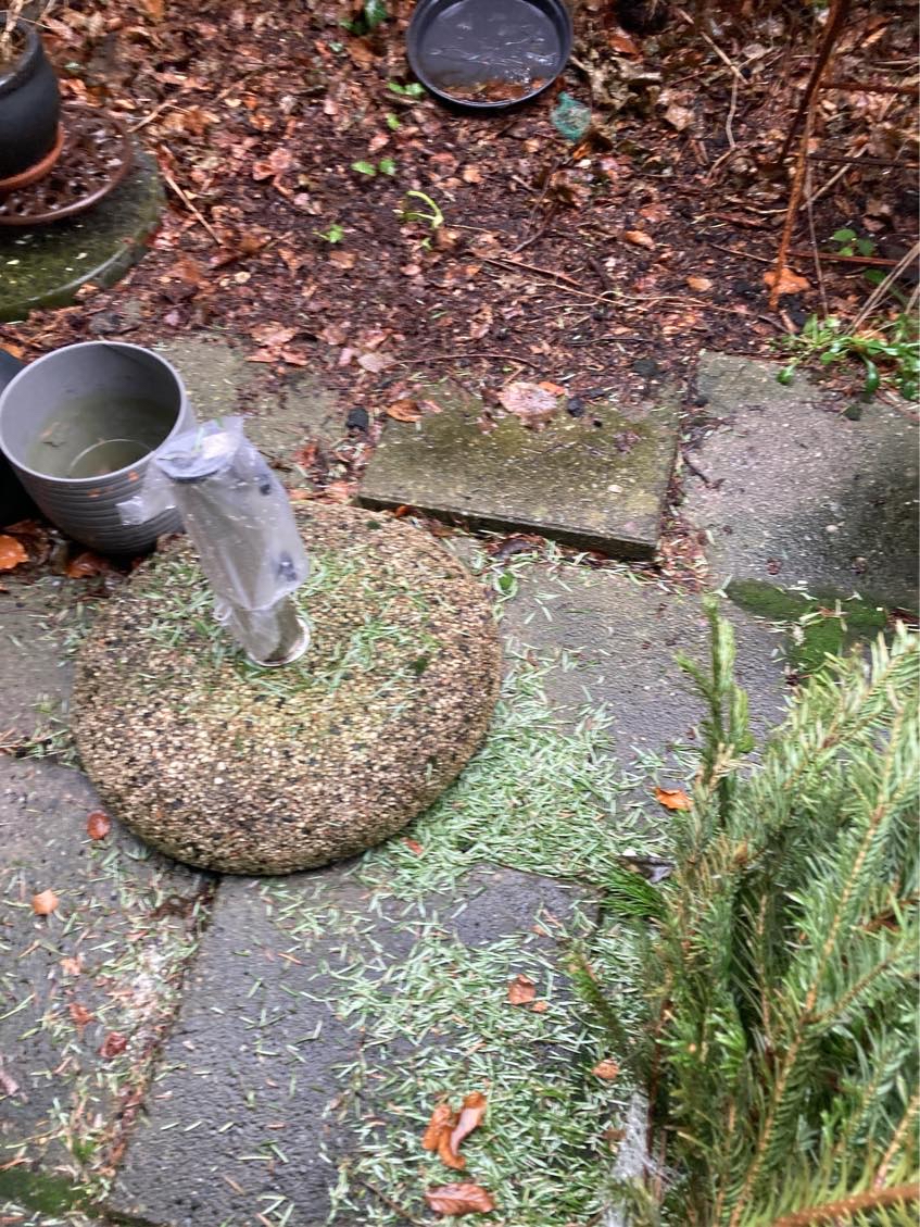 Ordne have, der skal graves noger rødder op, der strækker sig fra buskene og har løftet fliser. Fliserne sksl så lægges på igen og måske lidt beplantning.