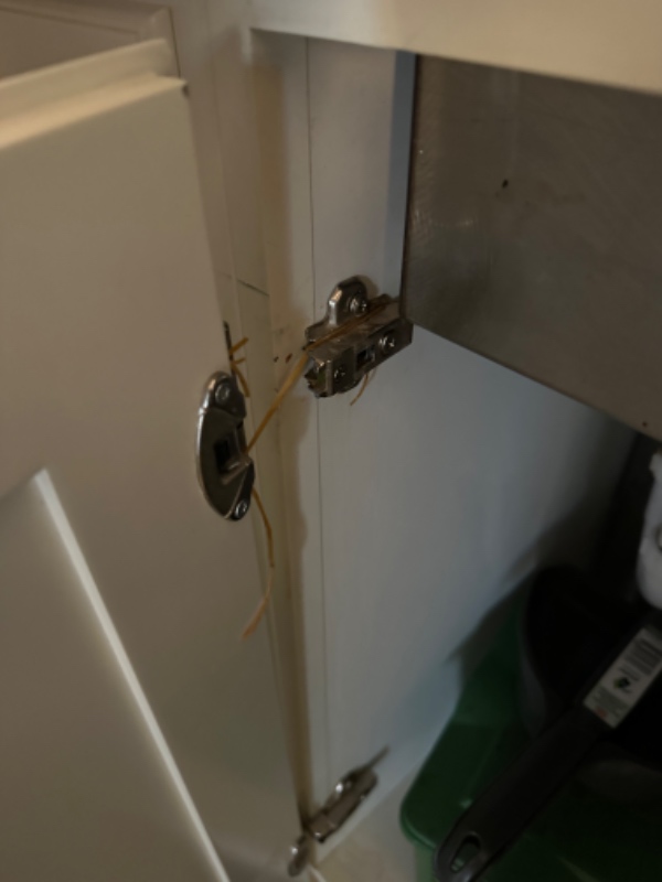 Fraflytning af lejlighed (lidt maling og andre småreparationer).