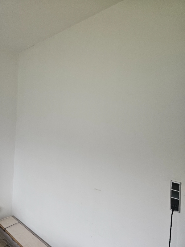 Maling af døren,soveværelse  og badeværelse