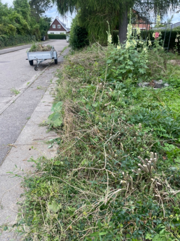 Fjernelse af hækkerødder