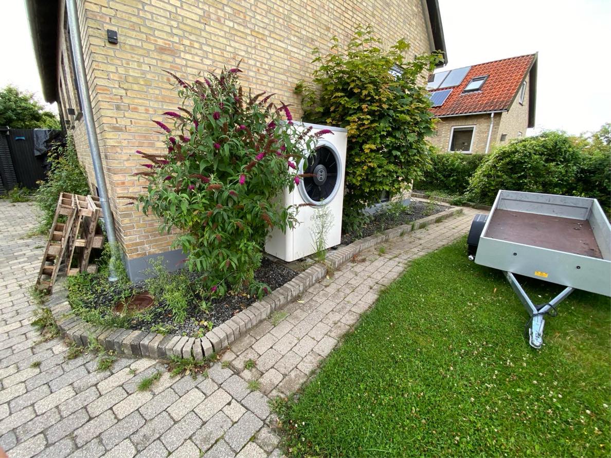 Klippe græs og fjørne ukrudt