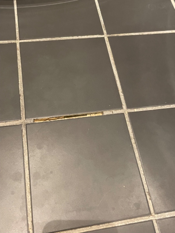 fuger mellem klinkerne i bruseniche