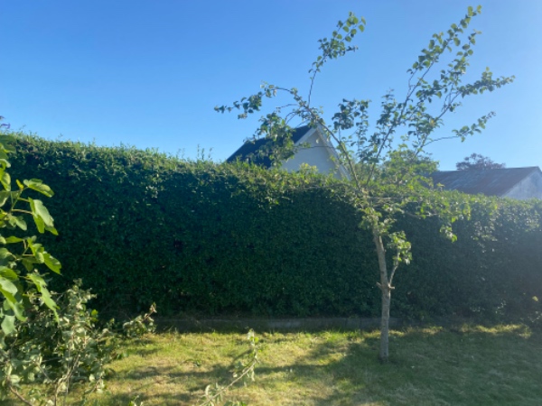 Haveaffald tranport , opskæring, oprydning