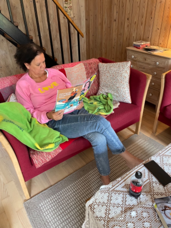 3 Pers og 2 Pers sofa rens