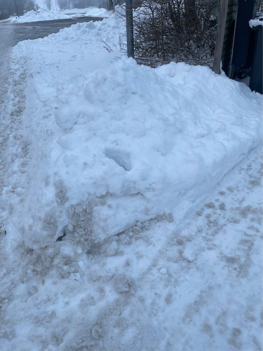 Ryddet sne på 50m fortov og bortkøres