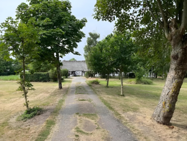 Havearbejde: hækklipning og græsslåning