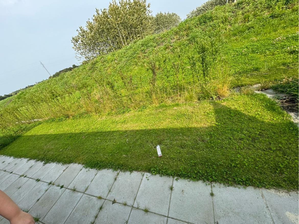 Jeg søger en som kan fjerne ukrudt imelllem hækken hækken er 10 meter fra ende til ende  Det er i Ikast hvem kan hjælpe ? HURTIGST MULIGT !