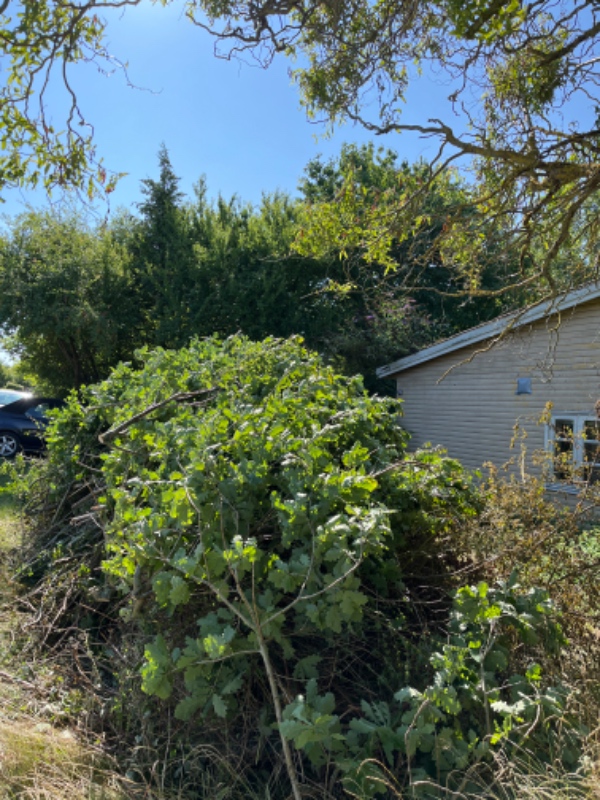 Afhentning af haveaffald