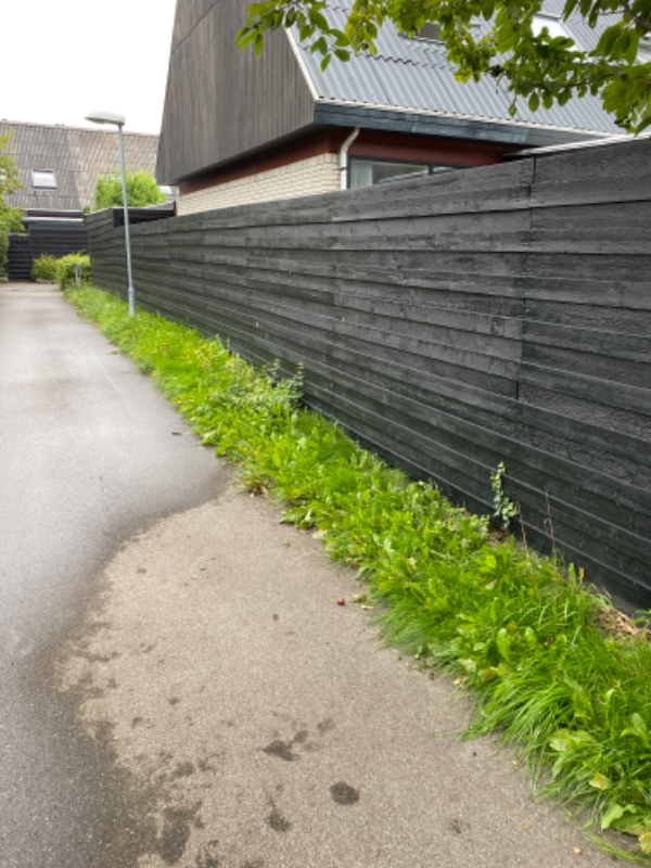 Klippet hæk og slå græs