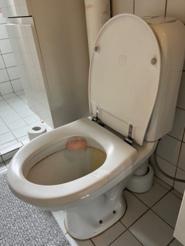 Toilet (stående) udskiftes